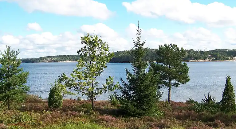 Holiday home in Tanum V