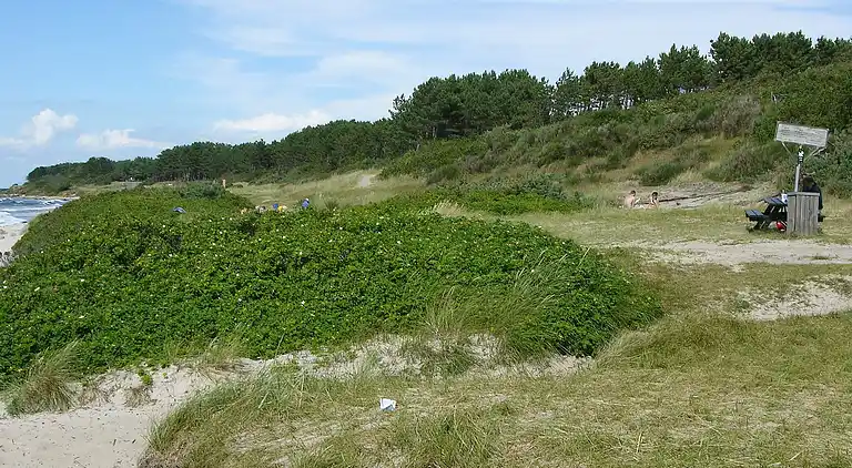 Holiday home in Hasle