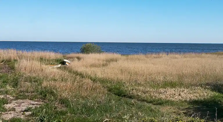 Sommerhus i Bork Havn