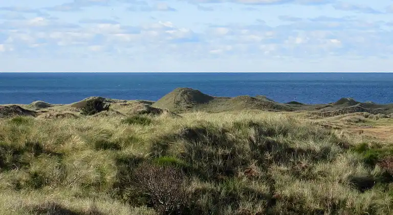 Holiday home in Snedsted