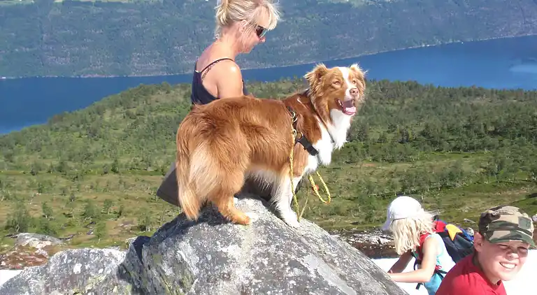 Vakantiehuis in Tistam