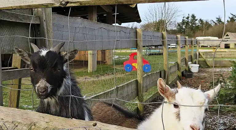 Casa vacanze in Struer