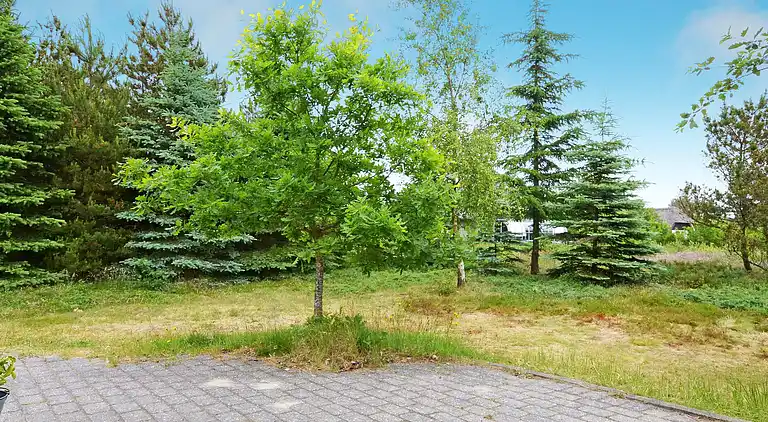 Vakantiehuis in Hemmet