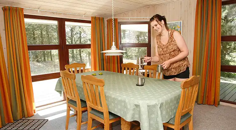 Sommerhus i Fjerritslev