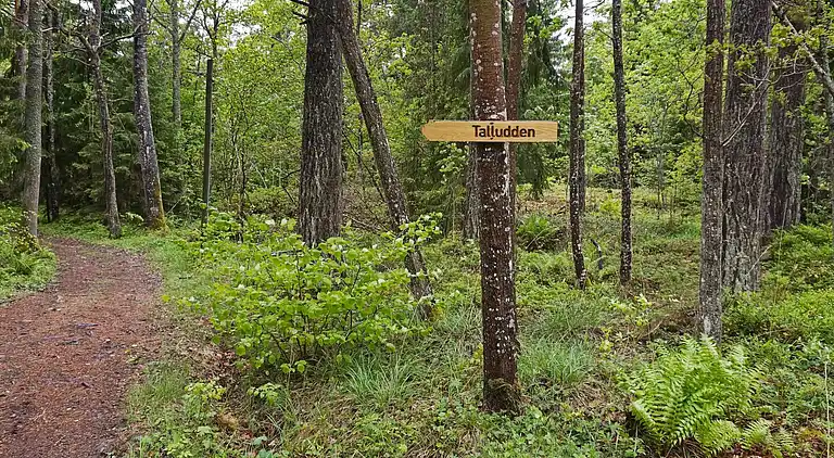 Casa vacanze in Vättersö