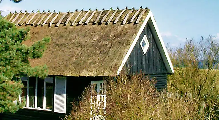 Vakantiehuis in Stege