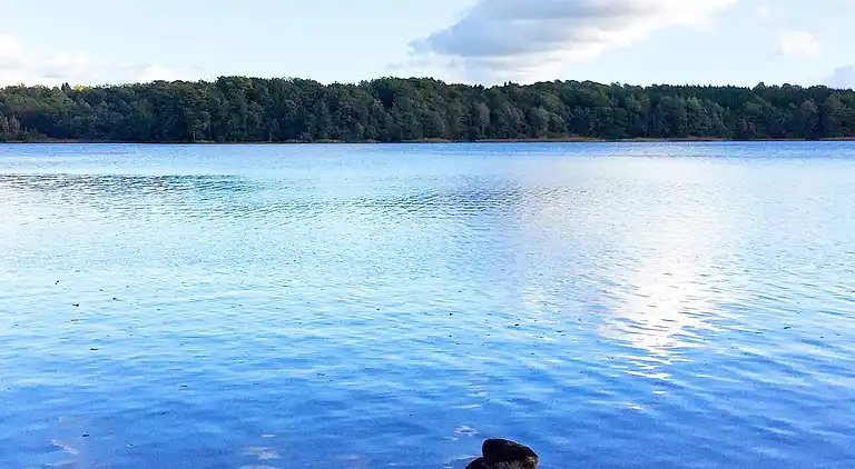 Holiday home in Hässleholm Ö