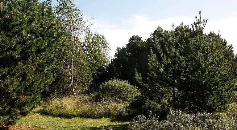 Feriebolig i Fjerritslev