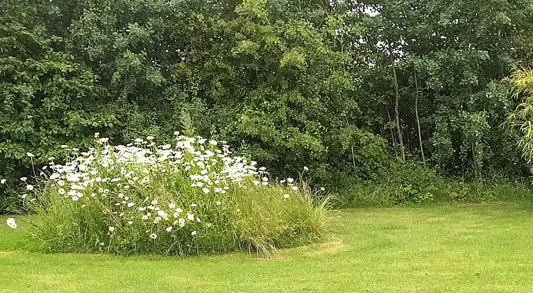 Holiday home in Nakskov