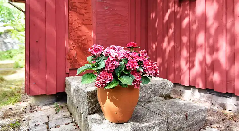 Vakantiehuis in Lysekil