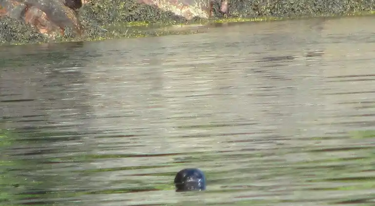 Holiday home in Stryn Municipality