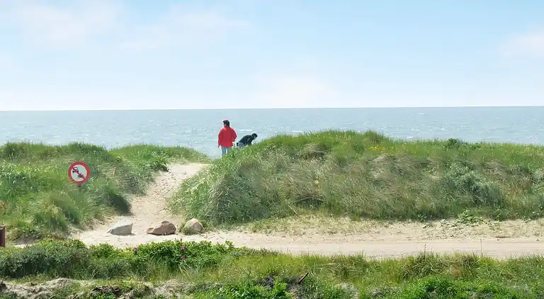 Feriebolig i Blåvand
