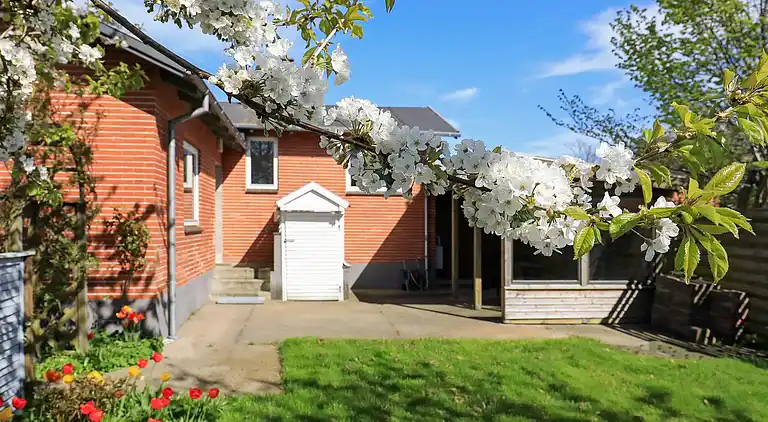 Semesterbostad i Ålbæk