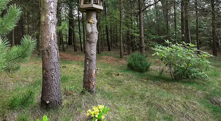 Holiday home in Brovst