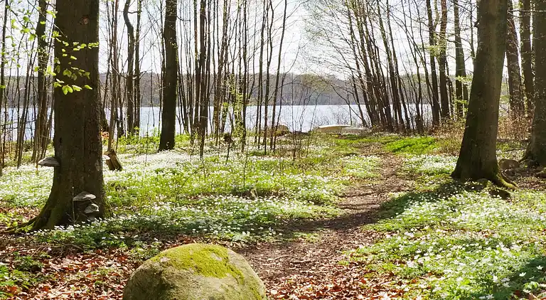 Holiday home in Hässleholm Ö