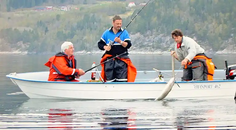 Vakantiehuis in Eidsvåg