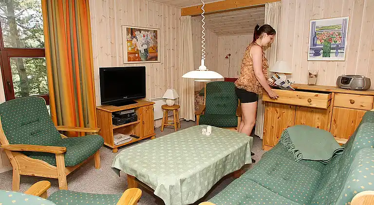 Sommerhus i Fjerritslev