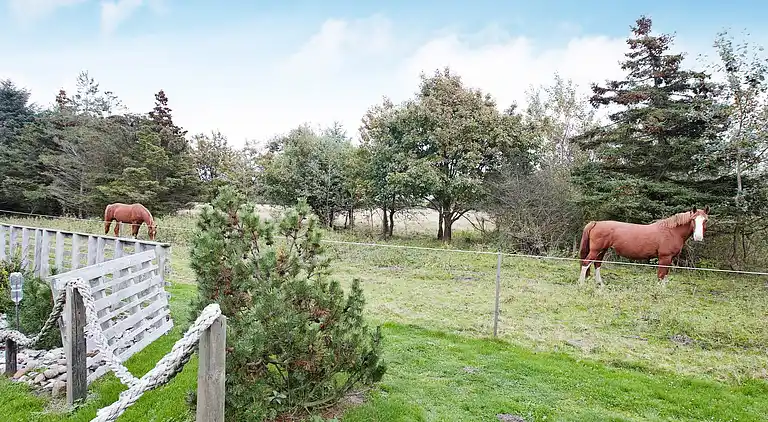 Ferienhaus in Rødby