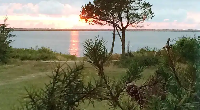 Sommerhus i Bork Havn