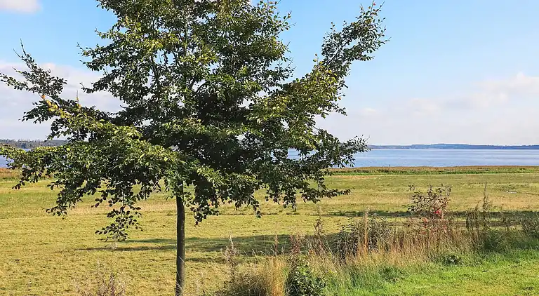 Holiday home in Højslev