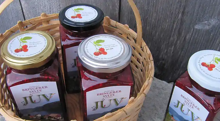 Holiday home in Stryn Municipality