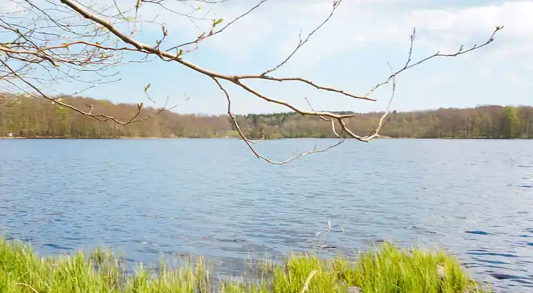 Holiday home in Hässleholm Ö