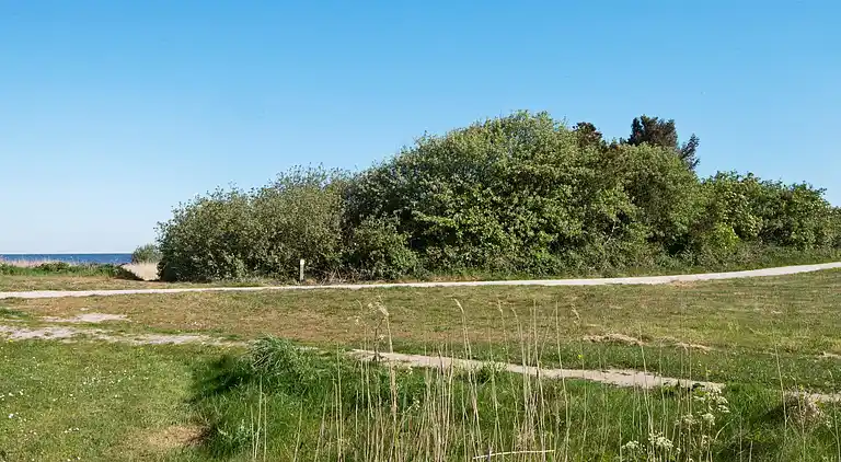 Sommerhus i Bork Havn