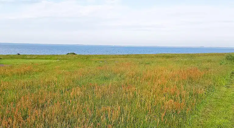 Holiday home in Vinderup