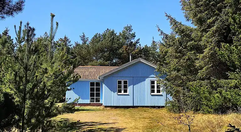Holiday home in Snedsted