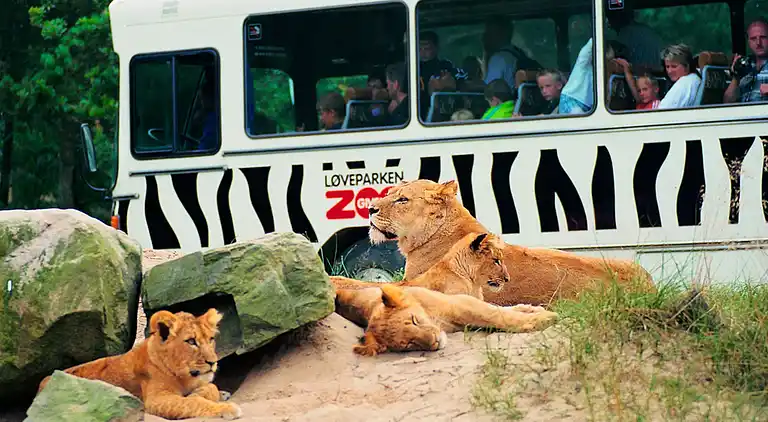 2 room,ground floor,44m2,PLUS