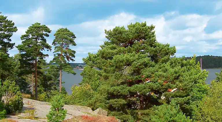 Holiday home in Tanum V