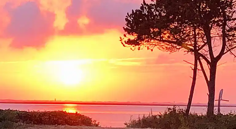 Sommerhus i Bork Havn