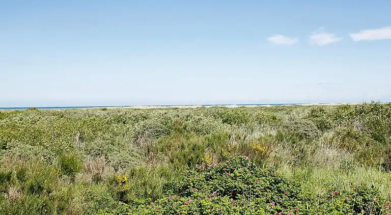 Holiday home in Skagen
