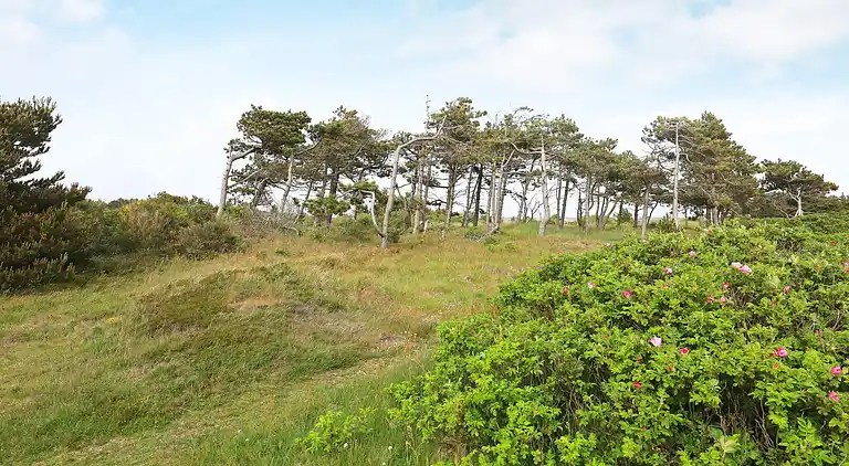 Holiday home in Hurup Thy