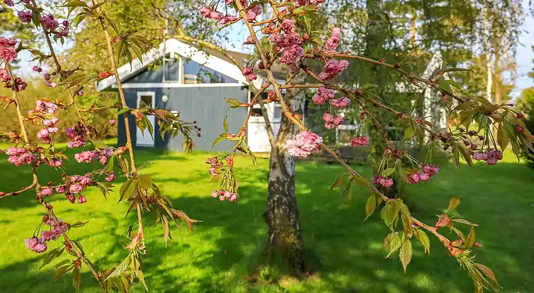 Holiday home in Faxe Ladeplads