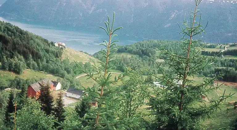 Vakantiehuis in Luster Municipality