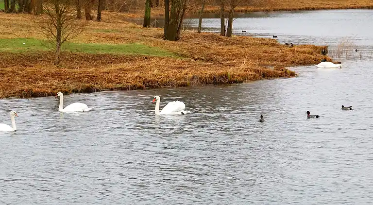 Holiday home in Otterndorf