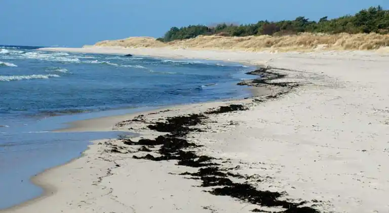 Holiday home in Sømarken