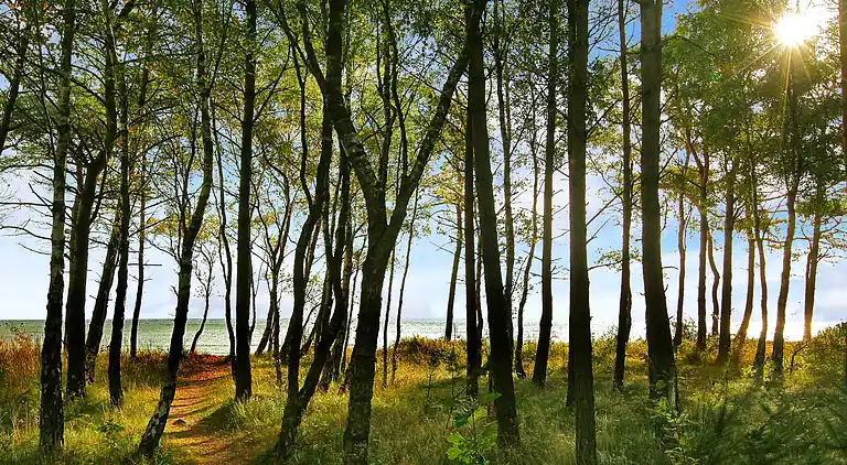 Holiday home in Snogebæk