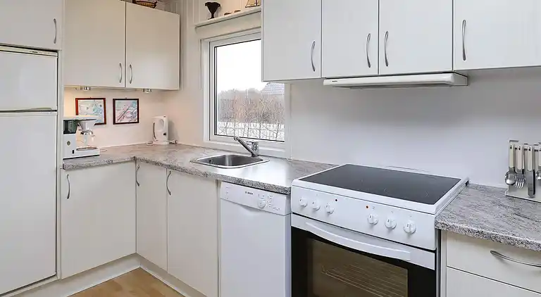 Semesterbostad i Ringkobing