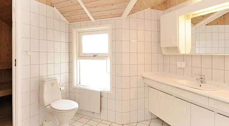 Sommerhus i Bork Havn