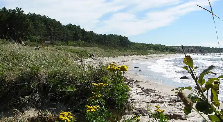 Vakantiehuis in Hasle