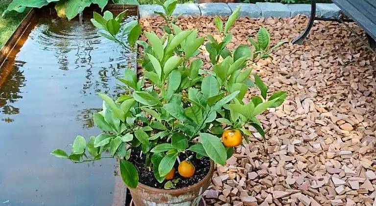 Vakantiehuis in Ekerö V