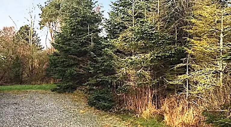 Holiday home in Vejby