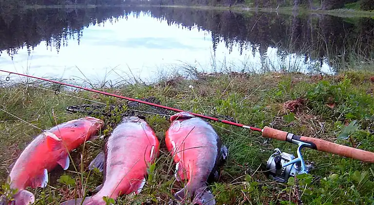 Holiday home in Holand