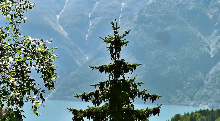 Vakantiehuis in Luster Municipality