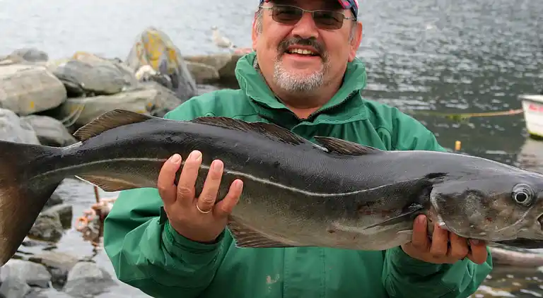 Maison de vacances au Barmen