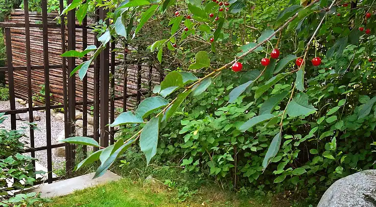 Vakantiehuis in Ekerö V