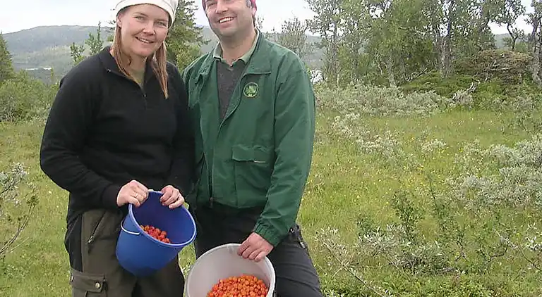 Holiday home in Holand