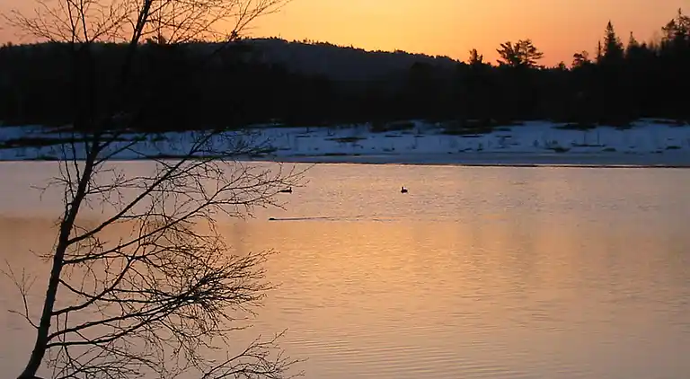 Semesterbostad i Gautestad